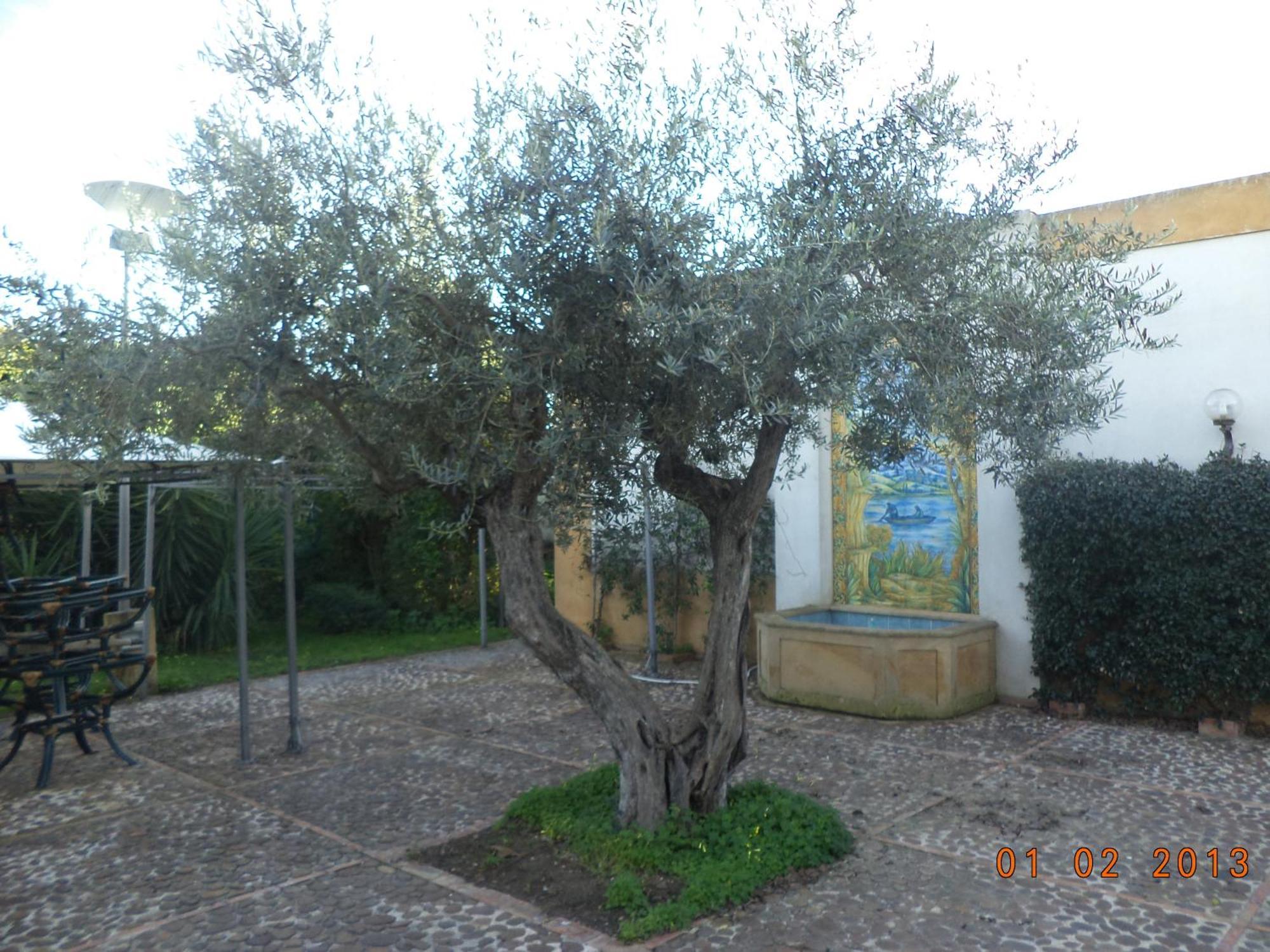 Hotel Villa Palocla Sciacca Kültér fotó